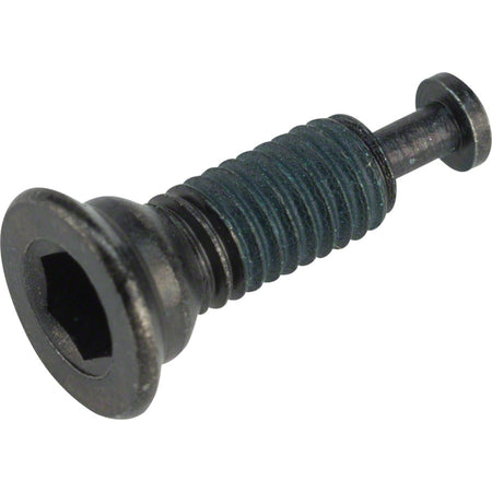 Shimano flat mount disc brake bolts for bicycle brake parts and accessories, showing shiny metal bolts on a neutral background.