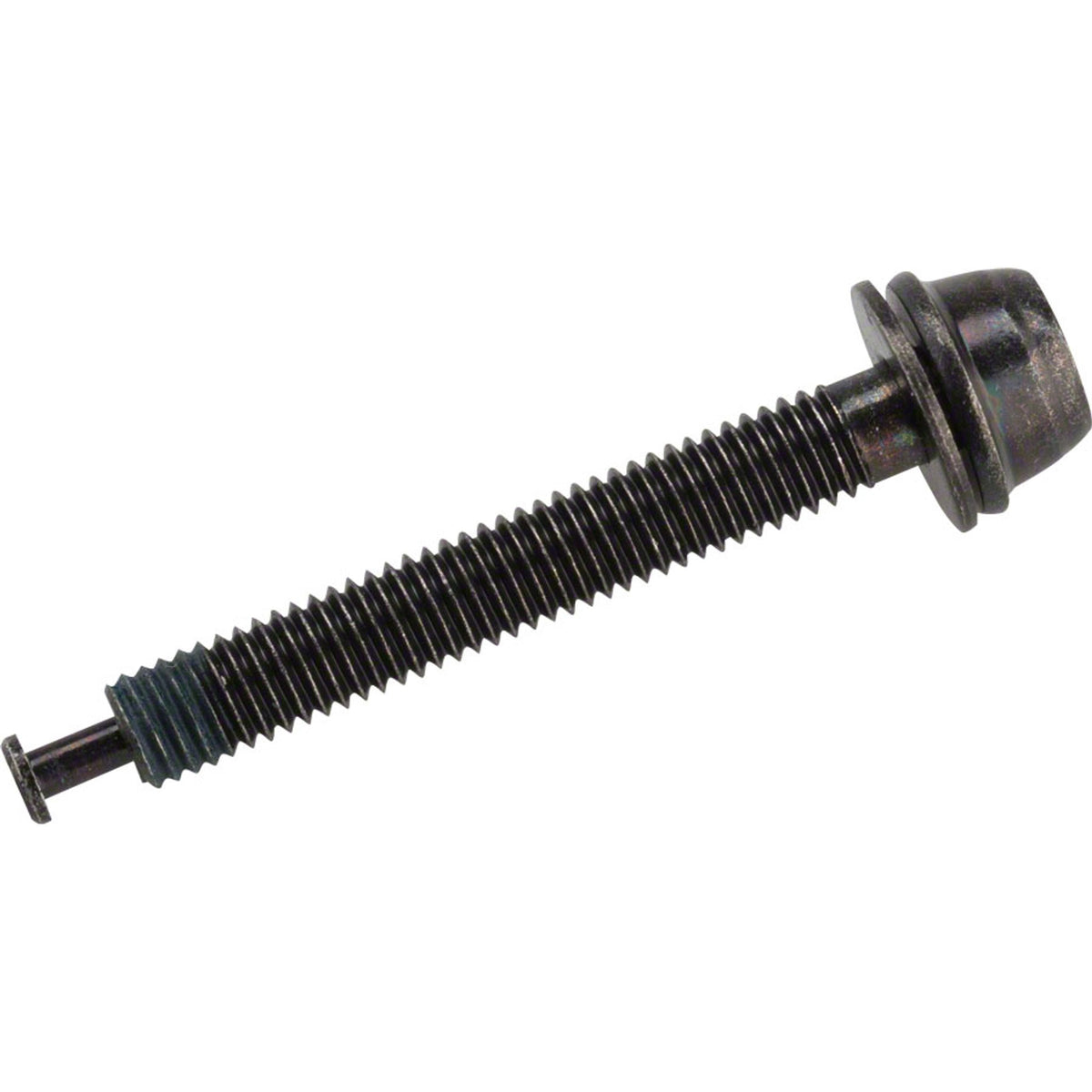 Shimano flat mount disc brake bolts for bike brake parts and accessories, shown in a close-up image.