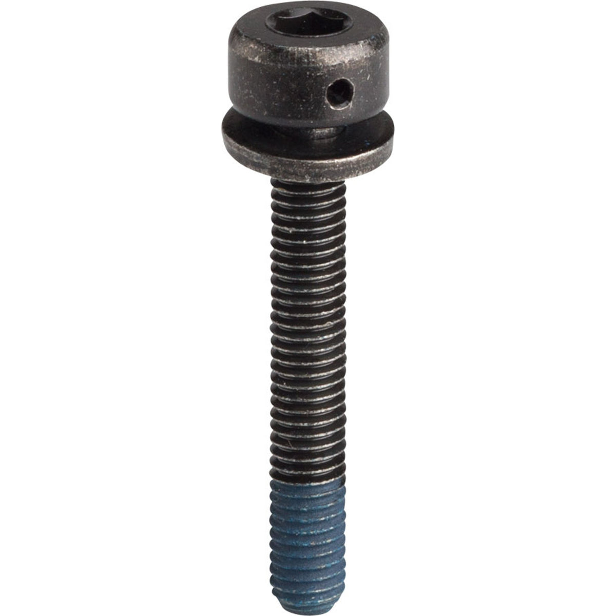 Shimano flat mount disc brake bolts for brake parts and accessories, shown in a close-up image of the hardware.