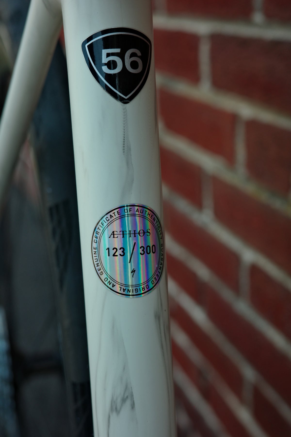 Specialized S-Works Aethos Campagnolo LTD — 56cm - Category One Cycles