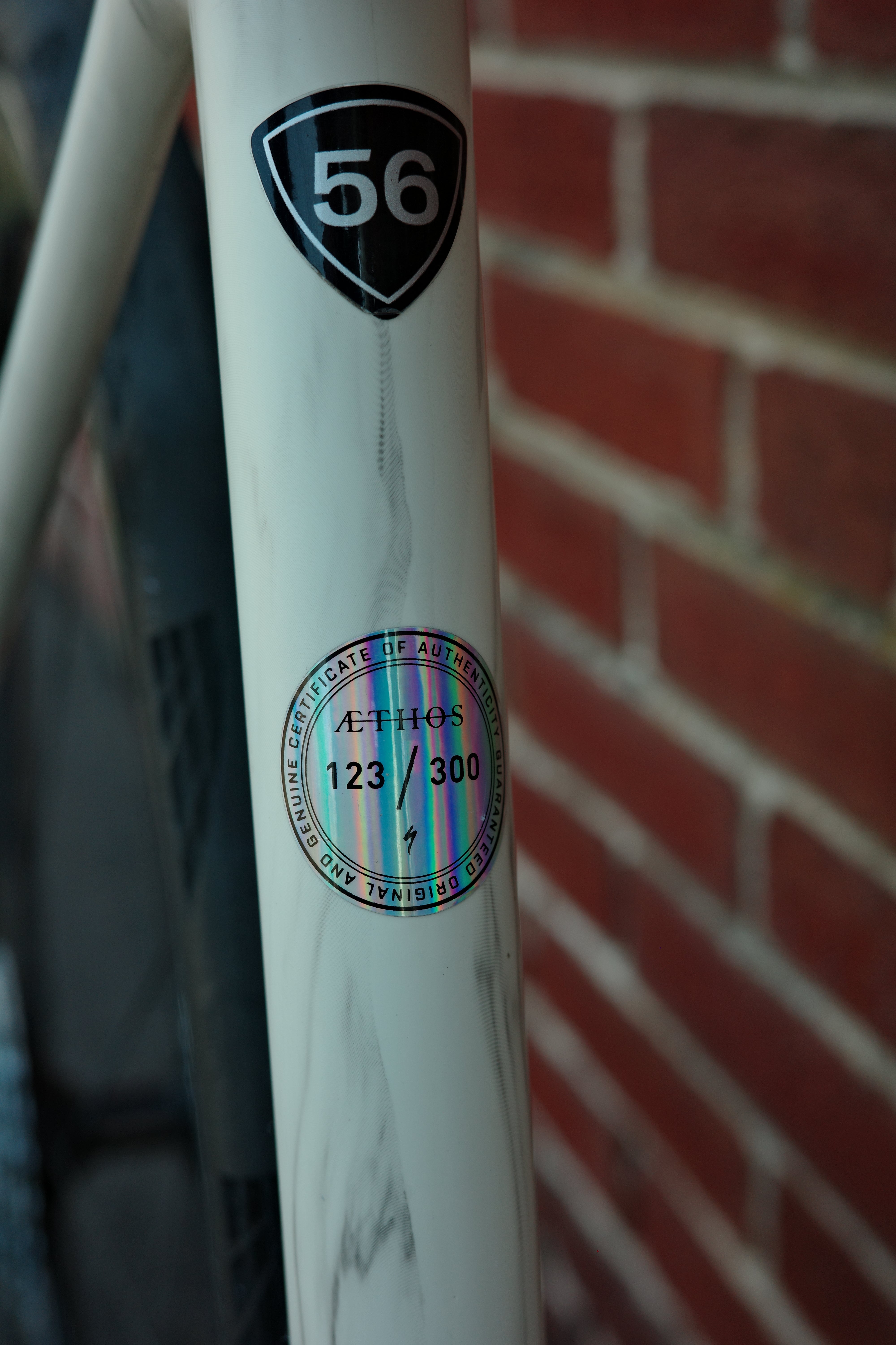 Specialized S-Works Aethos Campagnolo LTD — 56cm - Category One Cycles