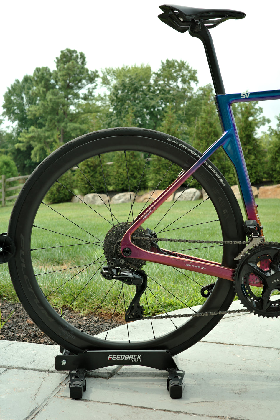 Basso SV