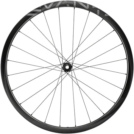 Campagnolo Levante rear gravel wheel with carbon rim and disc brake rotor for gravel biking.