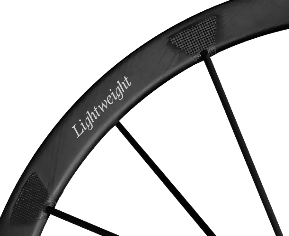 Pfadfinder EVO Disc Tubeless