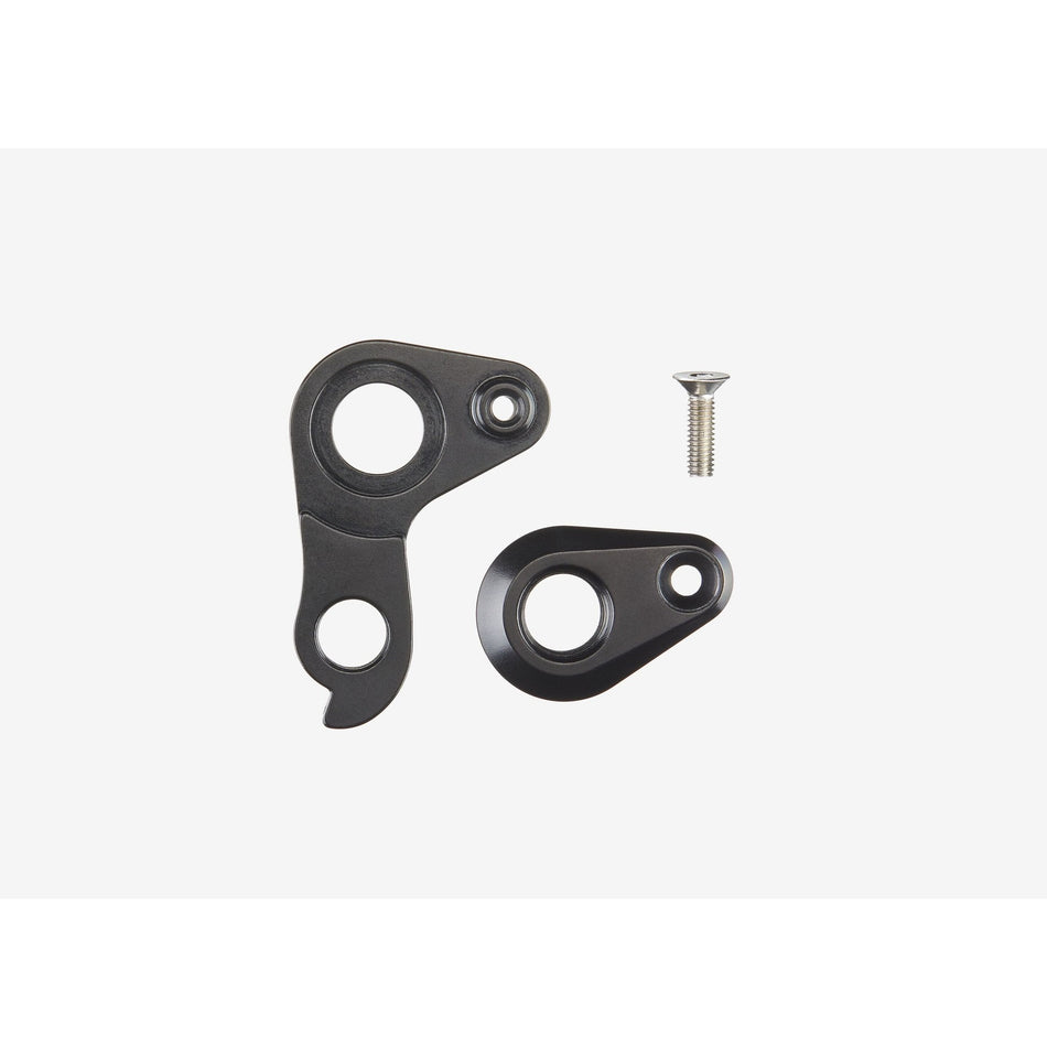REAR HANGER THRU AXLE DISC AM